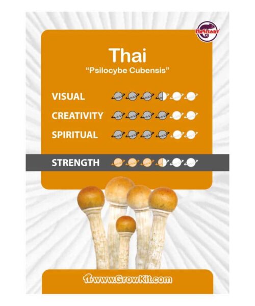Alternatieve kijk op Thai Paddo’s Kweekset