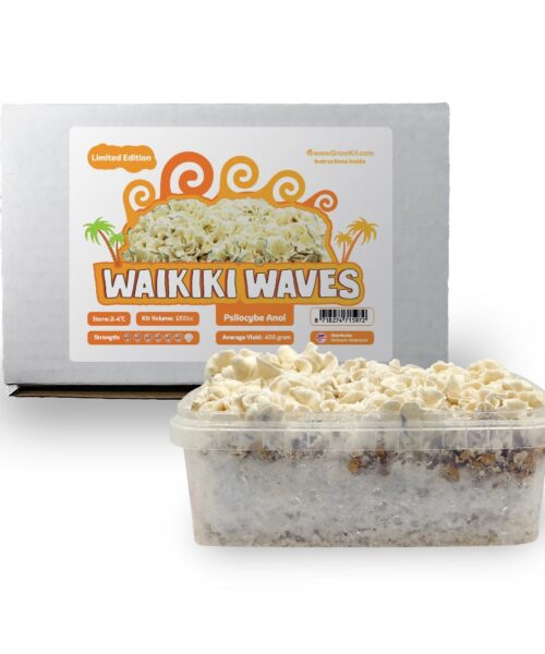 Waikiki Waves Growkit