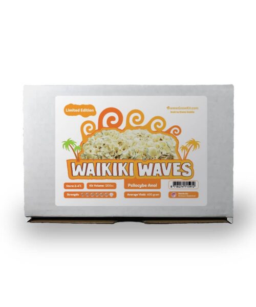 Alternatieve kijk op Waikiki Waves Growkit