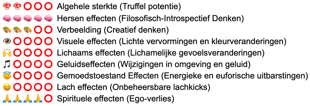 Tampanensis Magic Truffels - Afbeelding 21